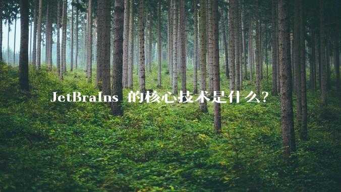 JetBrains 的核心技术是什么？